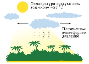 Задание рисунок 1