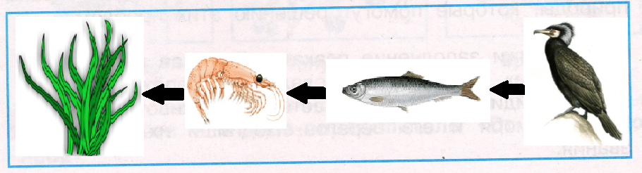 Решение рисунок 1