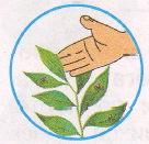 Решение рисунок 5