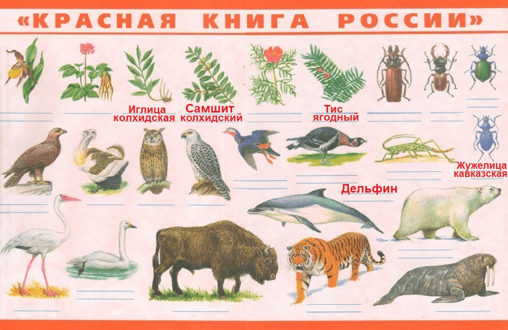 Решение рисунок 1