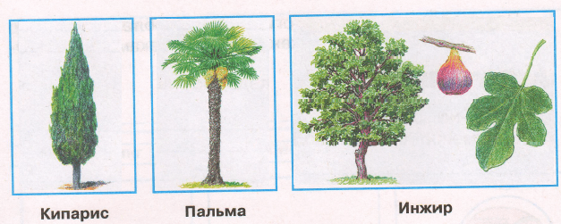 Решение рисунок 2