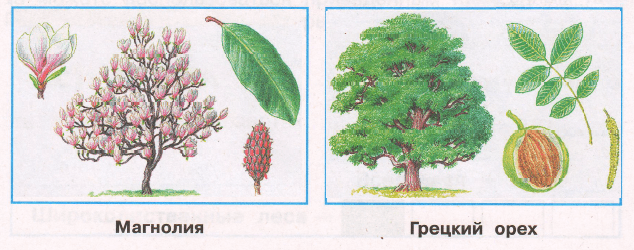 Решение рисунок 1