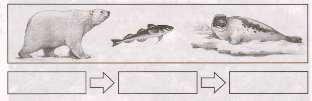 Задание рисунок 1