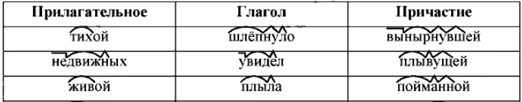 Решение рисунок 1