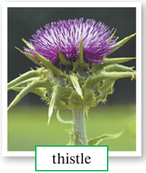 Задание рисунок 4